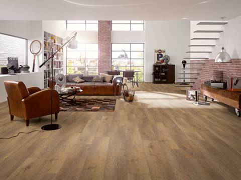 aranżacja dab knoxville